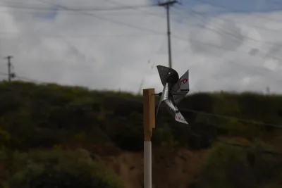 DSC_5146 (Large).JPG